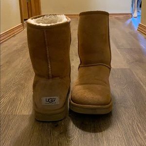 Chestnut uggs